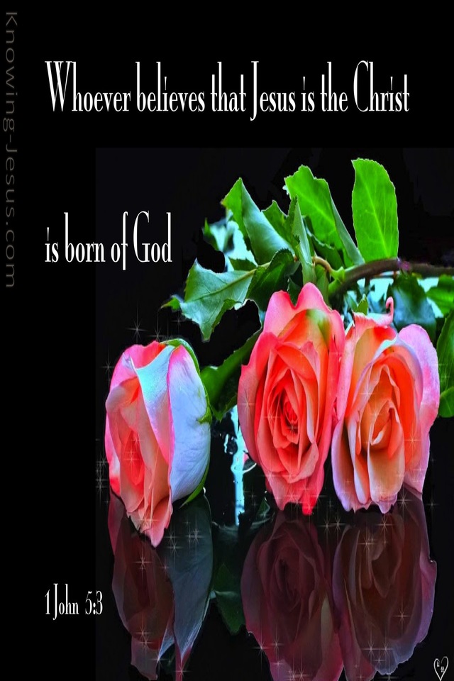 1 John 5:3 Born Of God (black)